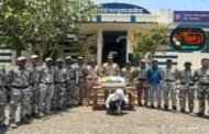 गांजा वाहतूक करणाऱ्यांवर पोलिसांचा छापा;उपविभागीय पोलीस अधिकारी पथकाची कारवाई