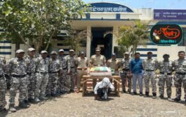 गांजा वाहतूक करणाऱ्यांवर पोलिसांचा छापा;उपविभागीय पोलीस अधिकारी पथकाची कारवाई